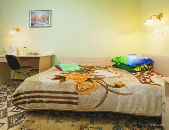 Стандарт 1-местный - Санаторий «Воробьево»