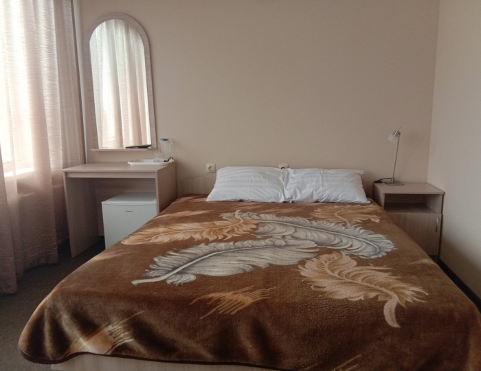 Стандарт  1-местный 1-комнатный - Санаторий «Воробьево»