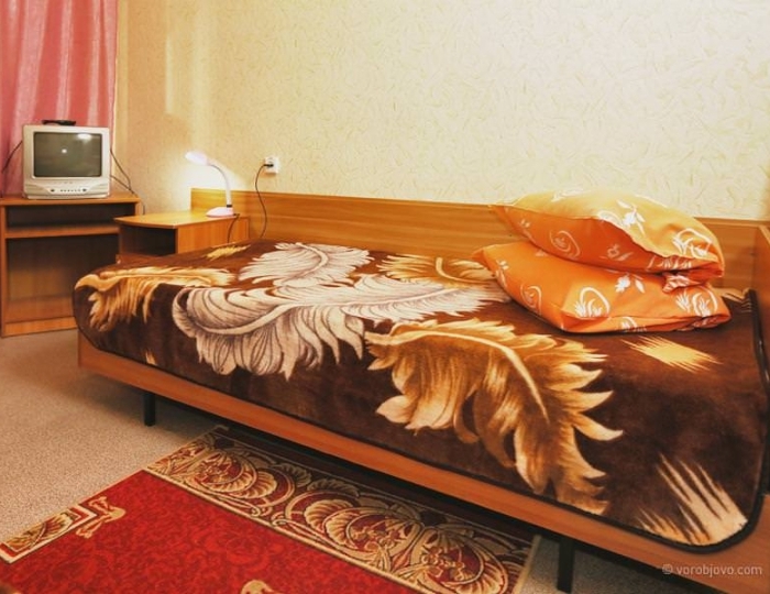 Стандарт 2-местный 1-комнатный к. №1,2 - Санаторий «Воробьево»