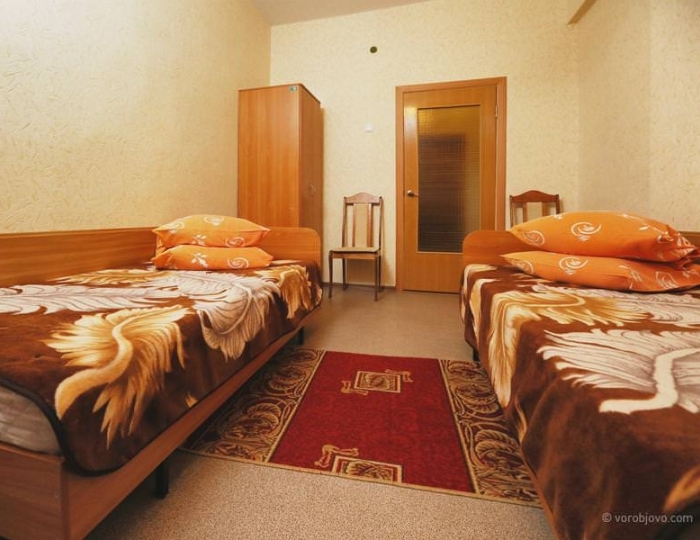 Стандарт 2-местный 1-комнатный к. №1,2 - Санаторий «Воробьево»
