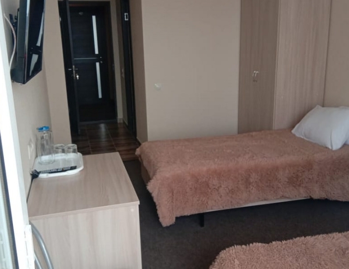 Стандарт  2-местный 1-комнатный - Санаторий «Воробьево»